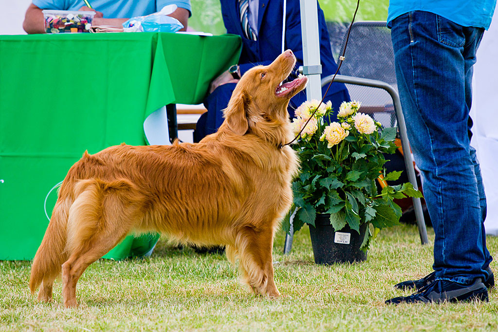 Edison steht vor dem Richtertisch und lächelt dabei Stephan an