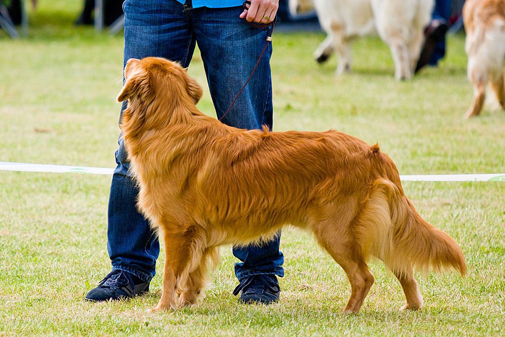 Edison nochmal in Pose, dahinter stehend Stephan