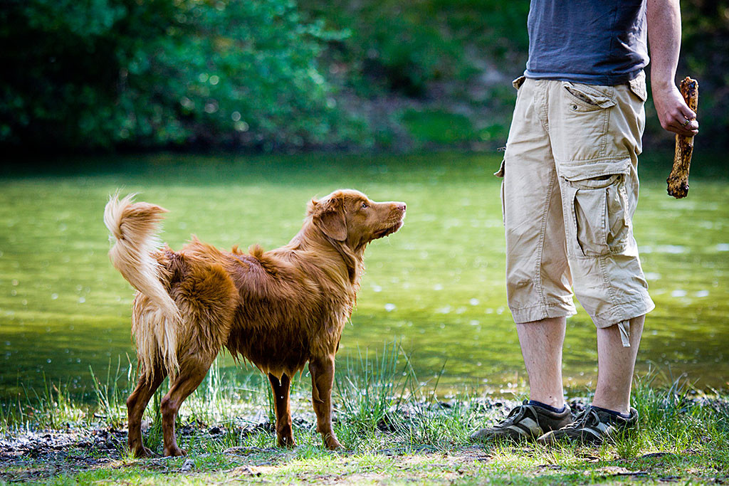 Edison bis zum Bauch nass schaut zu Stephan hoch, der einen Stock in der Hand hält