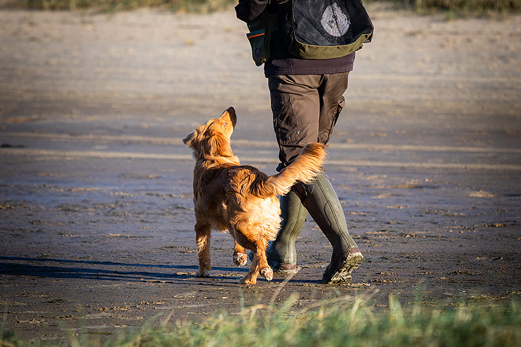 Newton läuft an Stephans Seite über den Strand