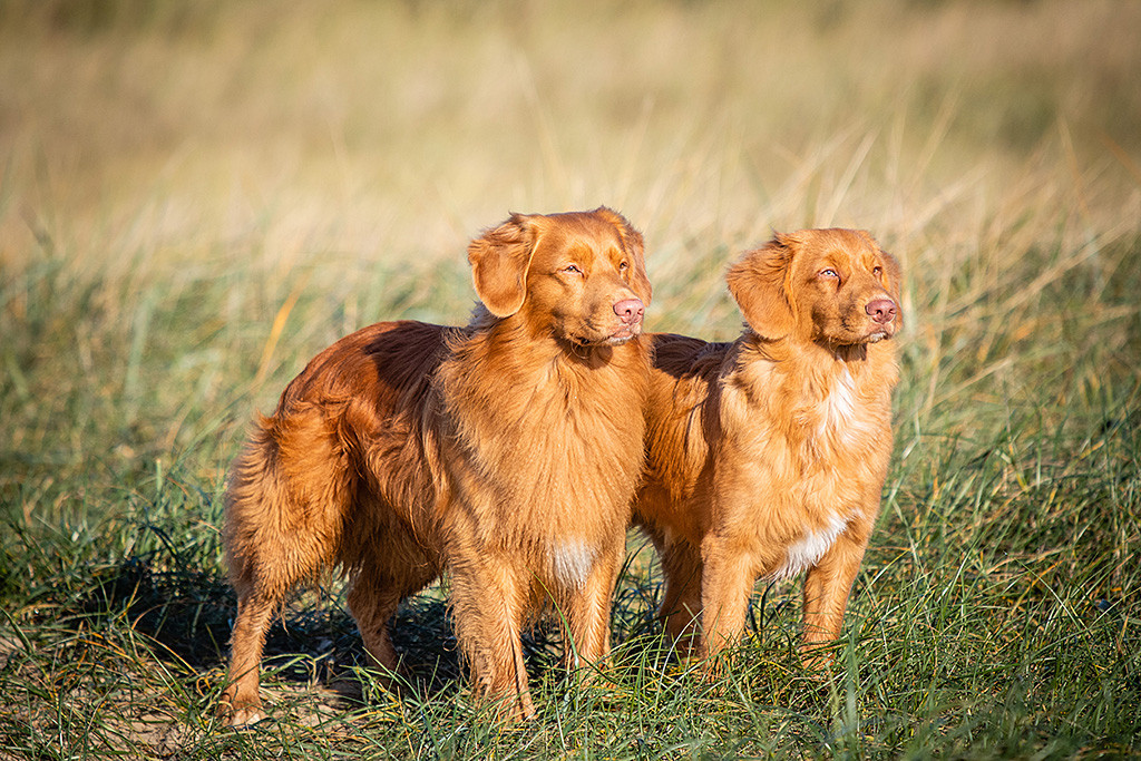 Edison steht neben seinem ebenfalls stehenden Sohnemann Newton