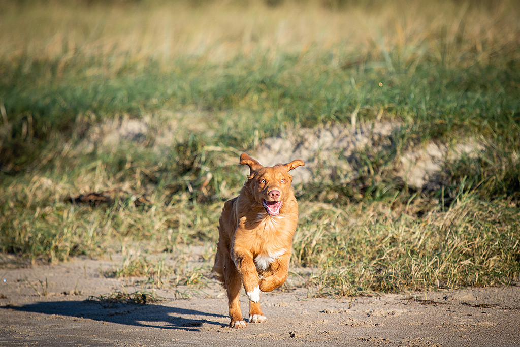 Newton sprintet am Strand entlang und hat dabei einen irren Gesichtsausdruck