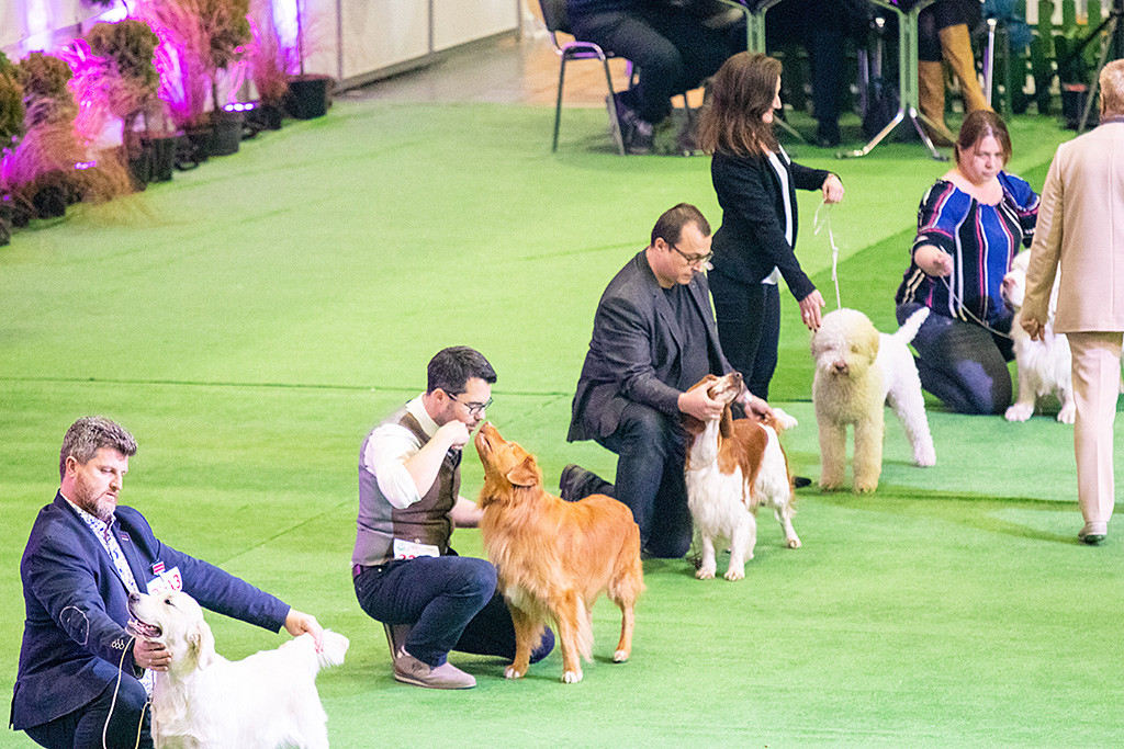 Edison gibt Stephan im Ehrenring ein Küsschen kurz nachdem die Richterin an ihnen vorbeigelaufen ist
