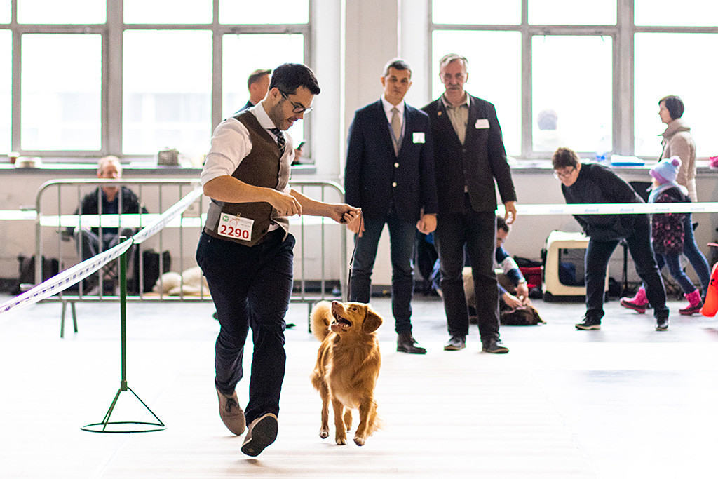 Edison läuft nochmal an Stephans Seite auf der Geraden von den Richtern weg, beide schauen sich freudig dabei an
