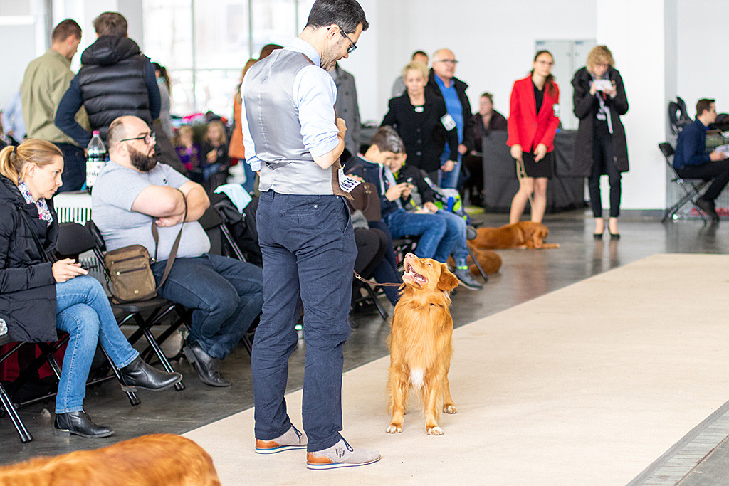 Edison steht vor Stephan im Ring und lächelt zu ihm hoch