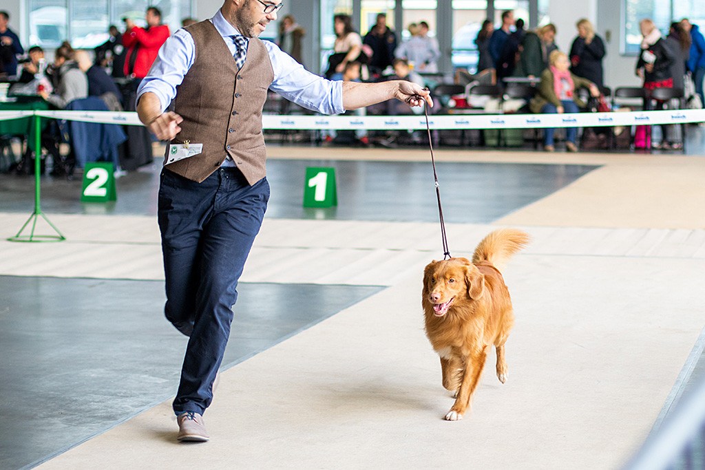 Edison läuft geführt von Stephan die Gerade zurück auf den Richter zu