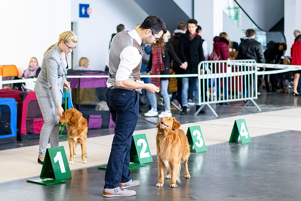 Edison präsentiert sich als Gewinner der Championklasse