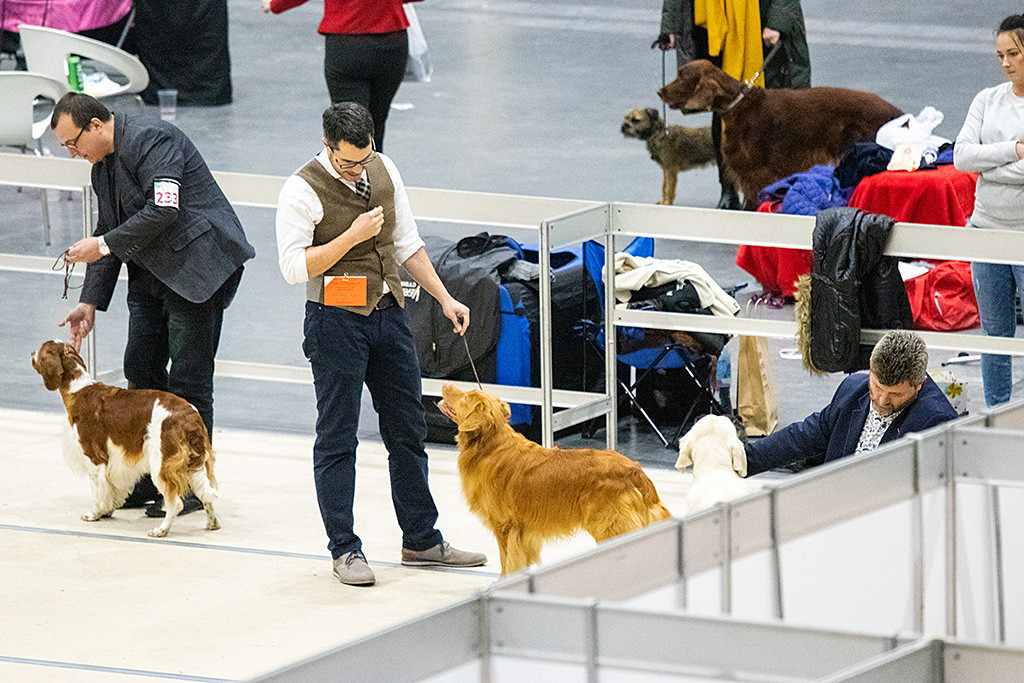 Edison steht vor Stephan im Vorring