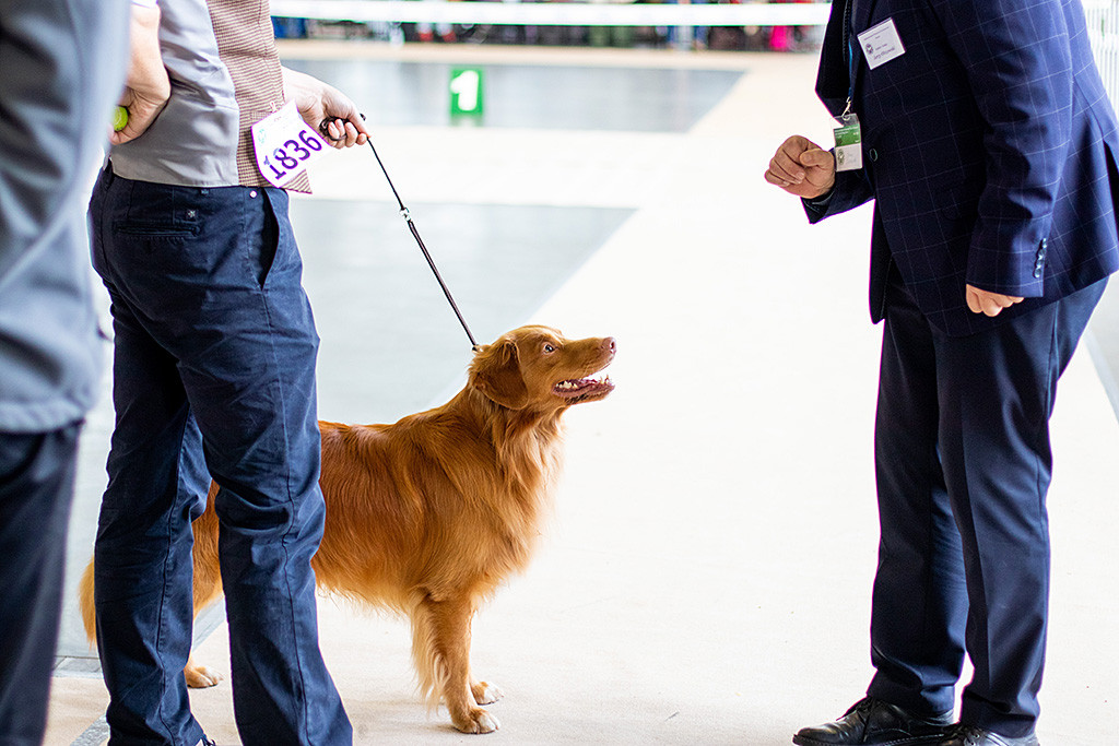 Edison steht neben Stephan und schaut lächelnderweise zu dem Richter hoch, der vor ihm steht und sich zu ihm runterbeugt