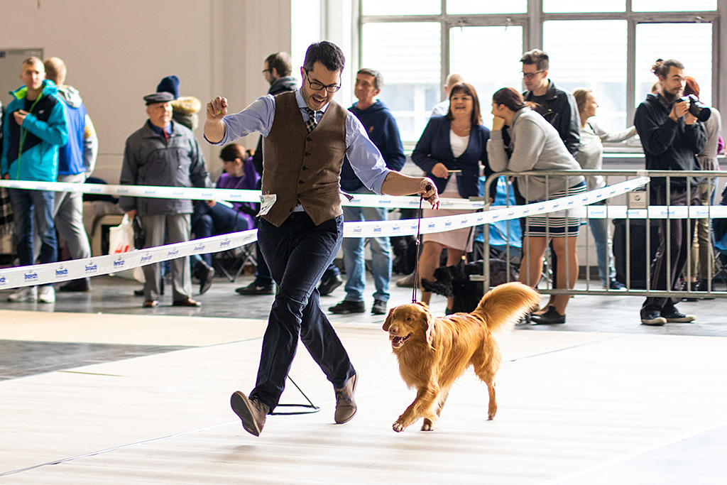 Edison läuft freudestrahlend an Stephans Seite durch den Ring, beide im Gleichschritt