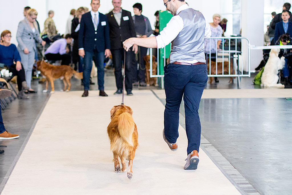 Edison läuft an Stephans Seite auf der Geraden auf den Richter und den Richteranwärter zu