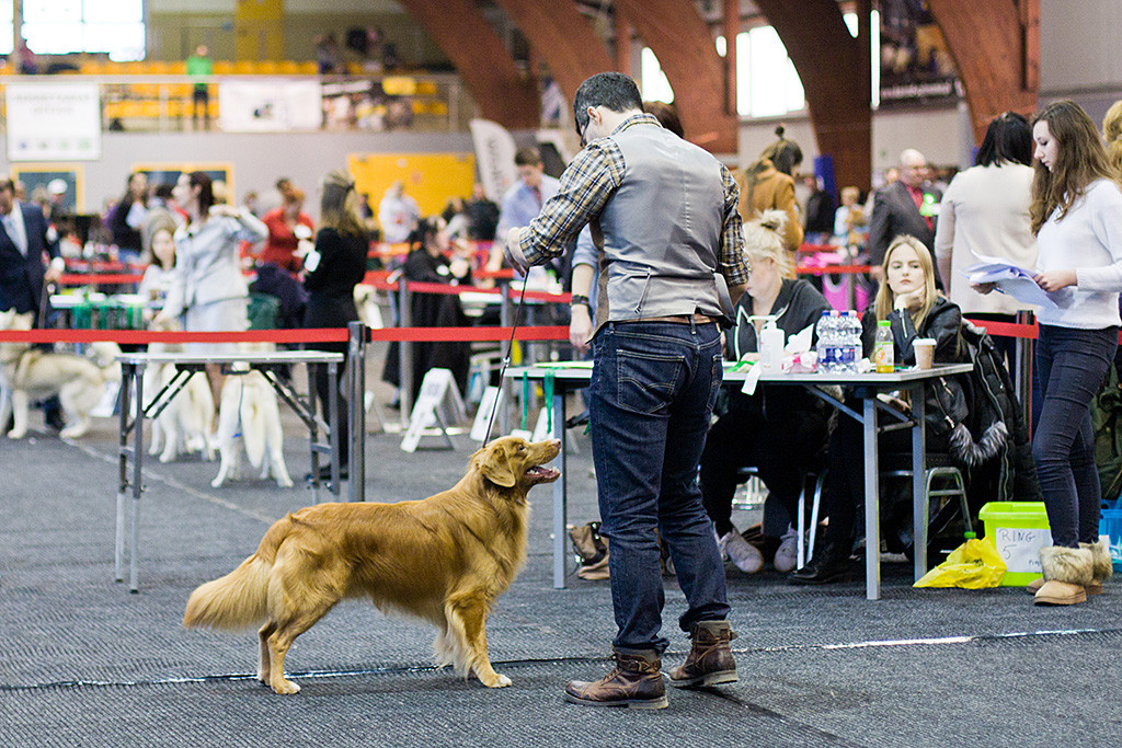 Edison steht lächelnd vor dem Richtertisch, Stephan schräg daneben