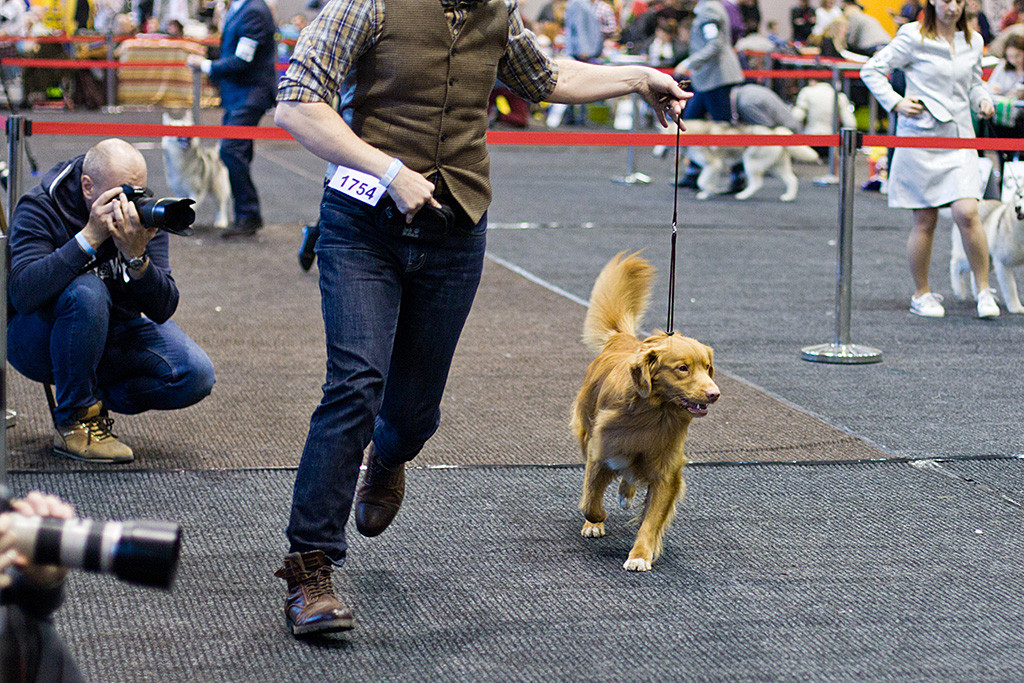 Edison läuft an Stephans Seite durch den Ring, an der Seite sieht man mehrere Fotografen