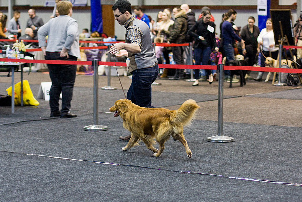 Edison läuft an Stephans Seite schwebend durch den Ring