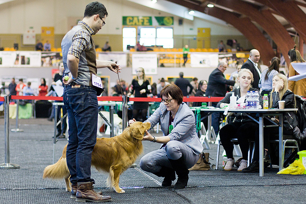 Edisons Kopf wird von der Richterin in der Hand gehalten und genau angeschaut