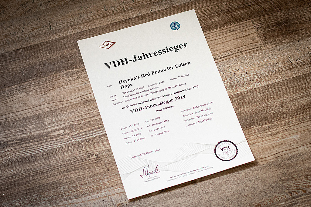 Edisons Urkunde zum VDH-Jahressieger 2019