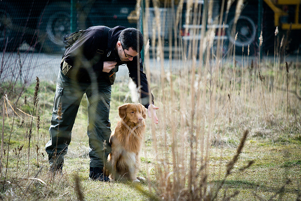 Edison sitzt neben Stephan, der ihn gerade für ein Voran einweist