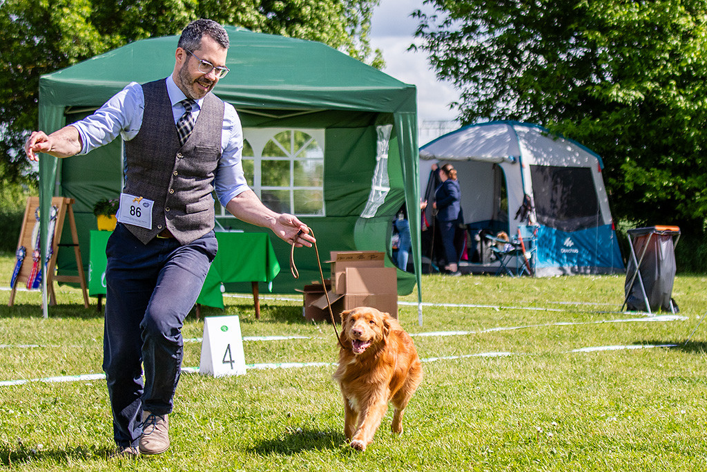 Newton läuft freudig an Stephans Seite durch den Ring