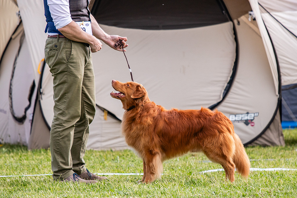 Edison steht seitlich im Profil vor Stephan und lächelt zu ihm hoch