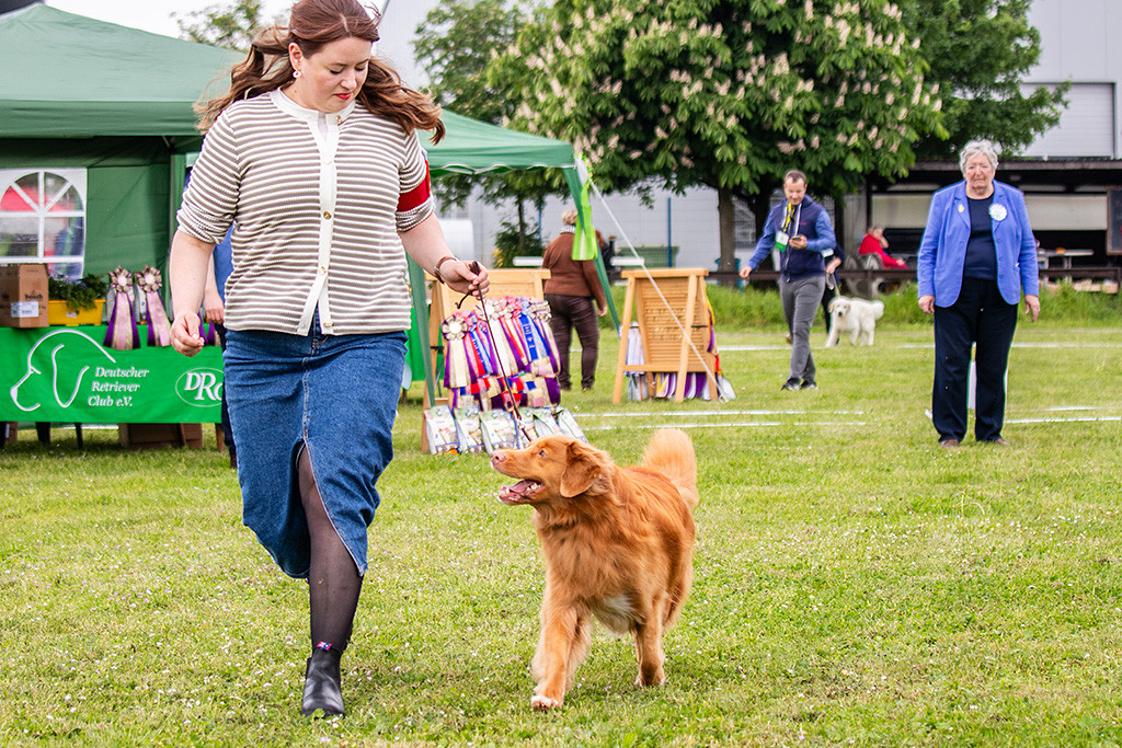 Edison läuft freudig an Ann-Kathrins Seite durch den Ring