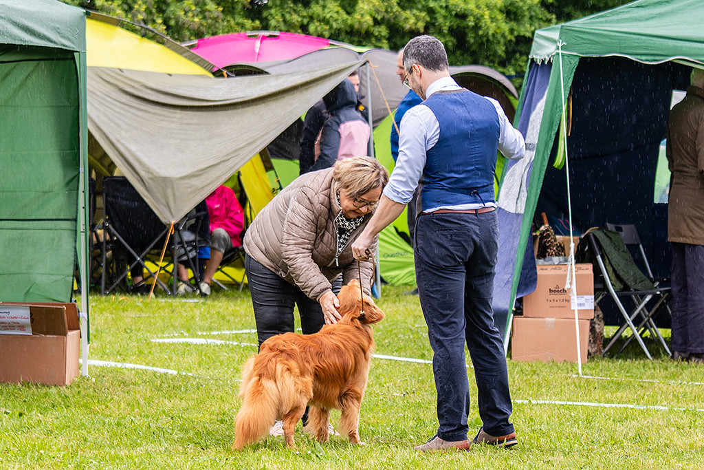 Newton steht an der Seite von Stephan während die Richterin seinen Kopf in ihren Händen hält