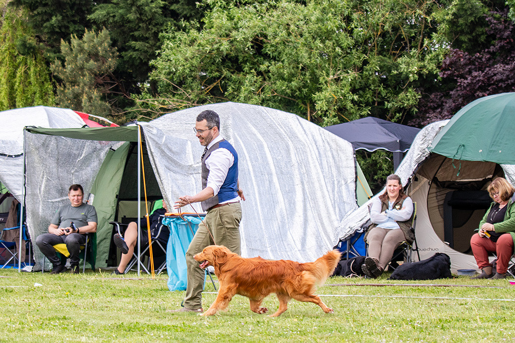 Newton läuft im perfekten Kreuzgang an Stephans Seite durch den Ring