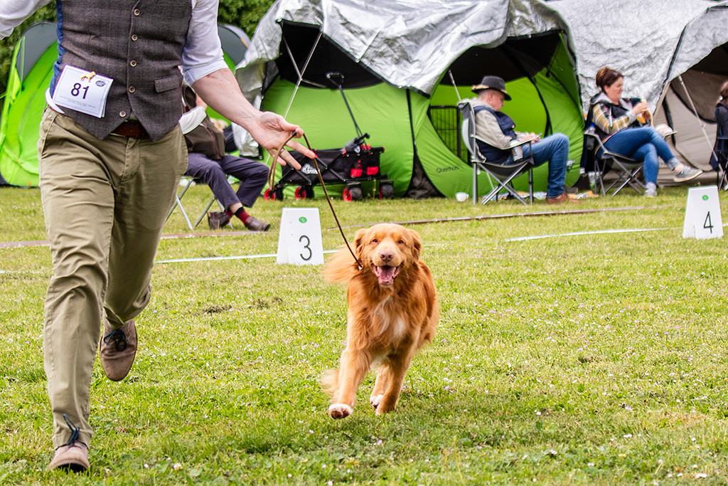 Newton läuft lächelnd an Stephans Seite durch den Ring
