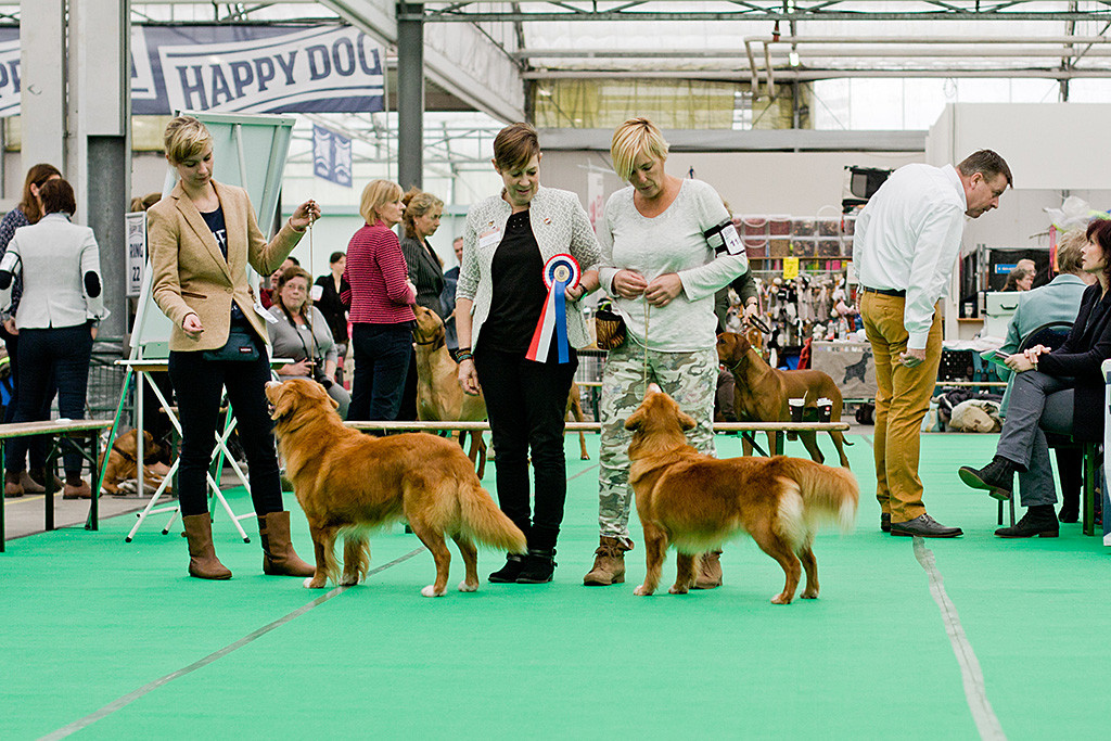 »Alliance de la Vie Thunderclap« und »Nononzus Of Great Pleasure« bei der Wahl zum BOB durch die Richterin Hanni Warendorf