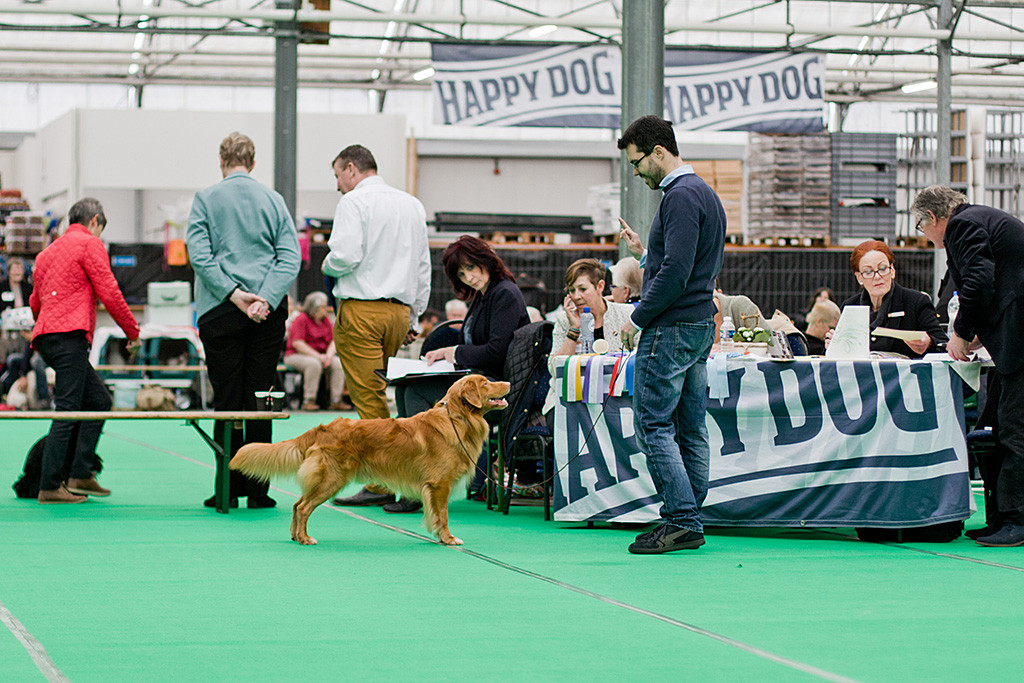 Edison steht mit Stephan vor ihm vor dem Richtertisch und wird eingehend gemustert