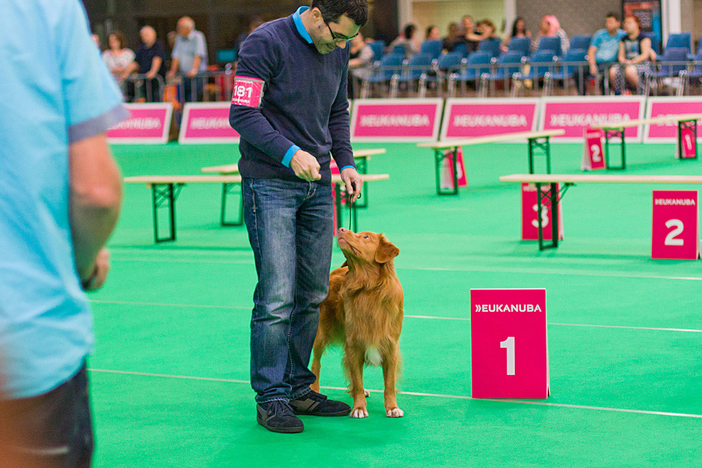 Edison steht mit Stephan vor dem Aufsteller mit der Eins bei der Wahl zum besten Rüden