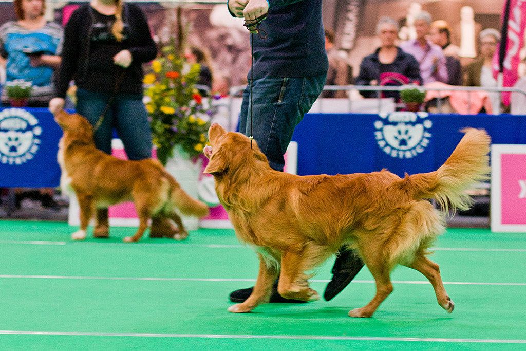 Edison läuft von Stephan geführt eine Bahn