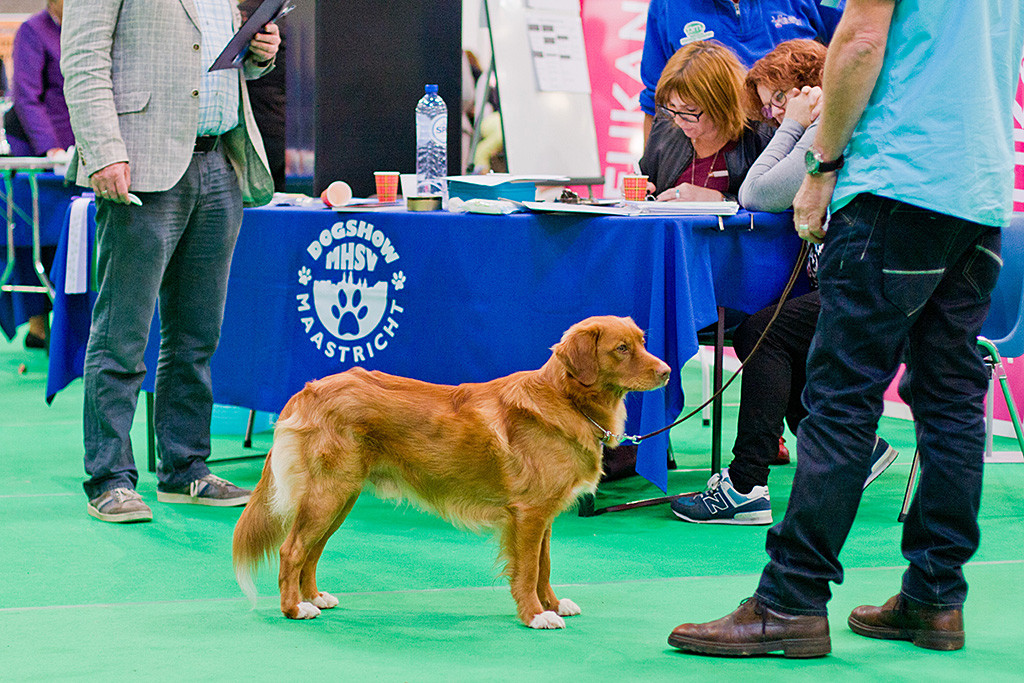 Fire Shadow Grateful Platter Maximun posiert vor dem Richtertisch