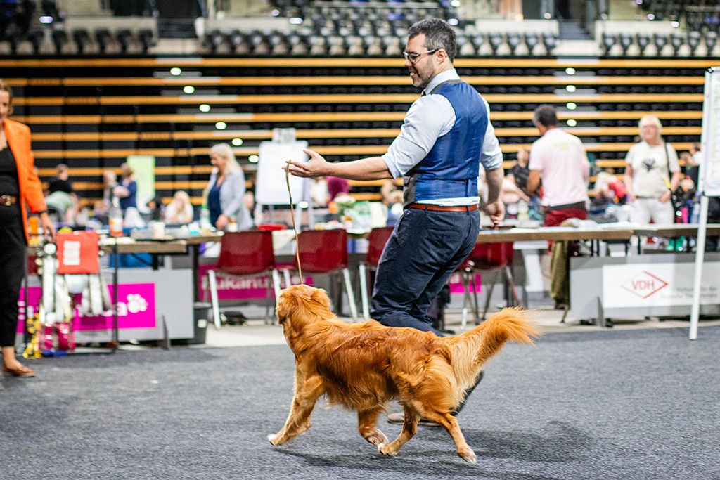 Newton fliegt durch den Ring, dabei sind keine Füße auf dem Boden