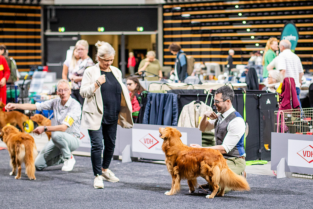 Newton flirtet mit der Richterin bei der Vergabe der internationalen Anwartschaft