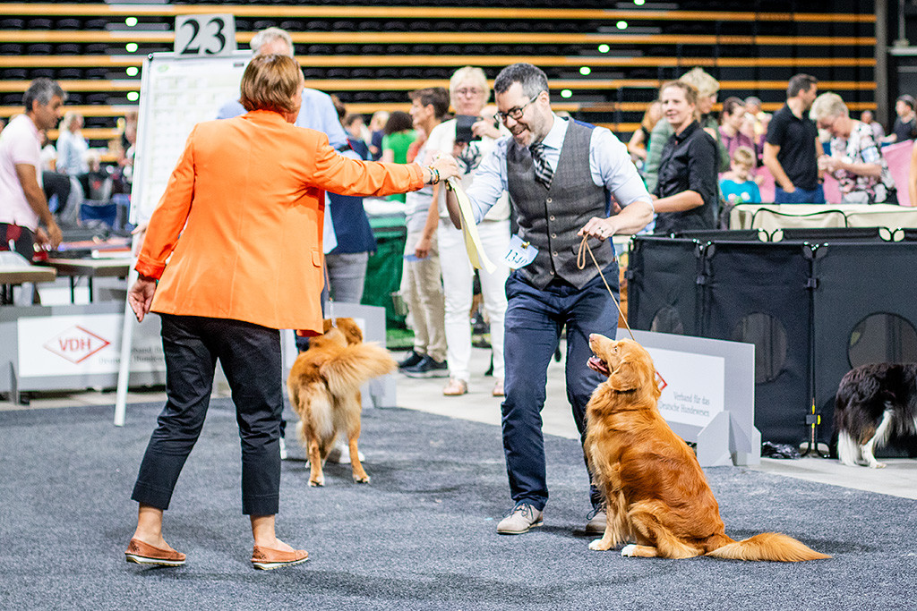 Newton sitzt neben Stephan, der die CACIB-Schleife entgegennimmt
