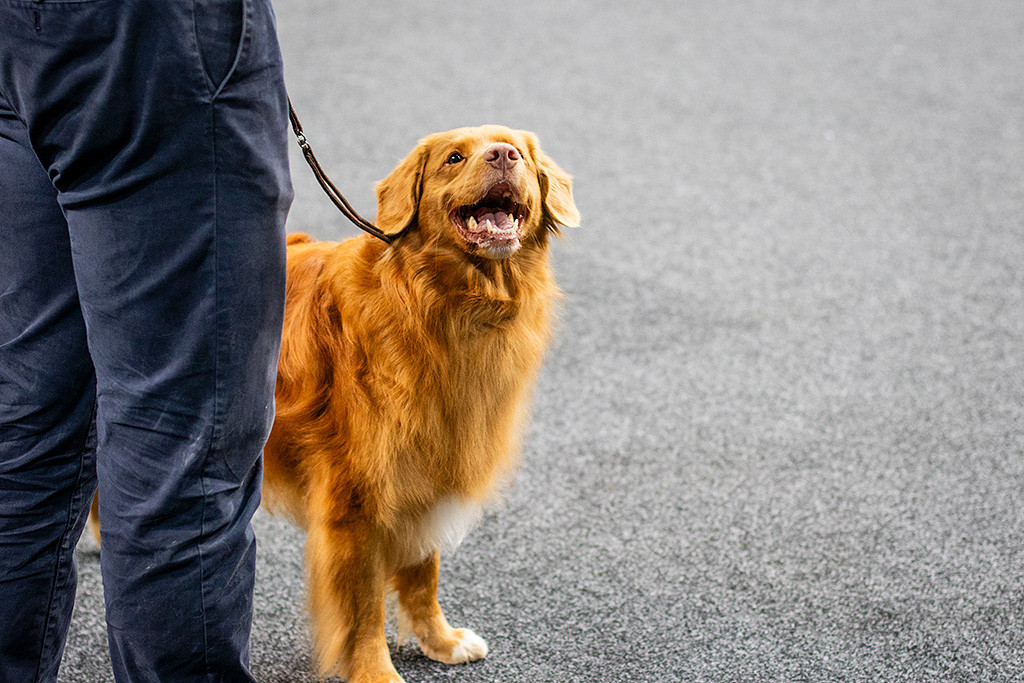 Edison schaut lächelnd hoch