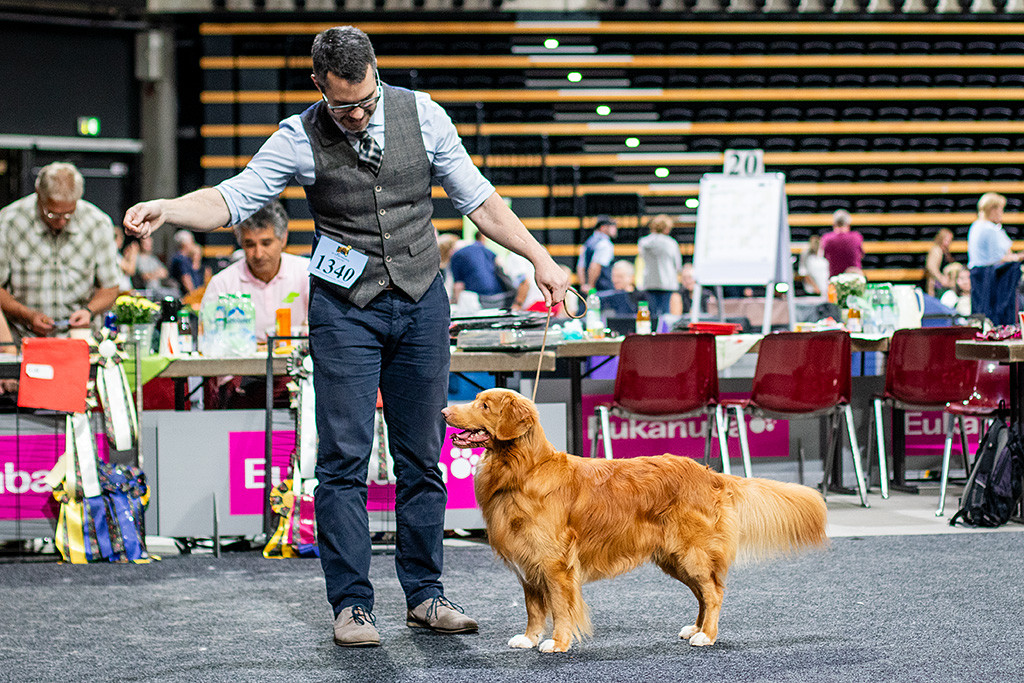 Newton steht wie eine eins