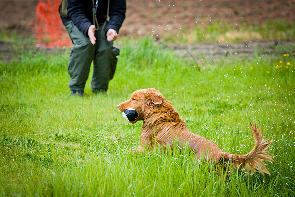 Edison mit Dummy im Fang nach dem Ausstieg am Ufer, im Hintergrund ist Stephan zu sehen