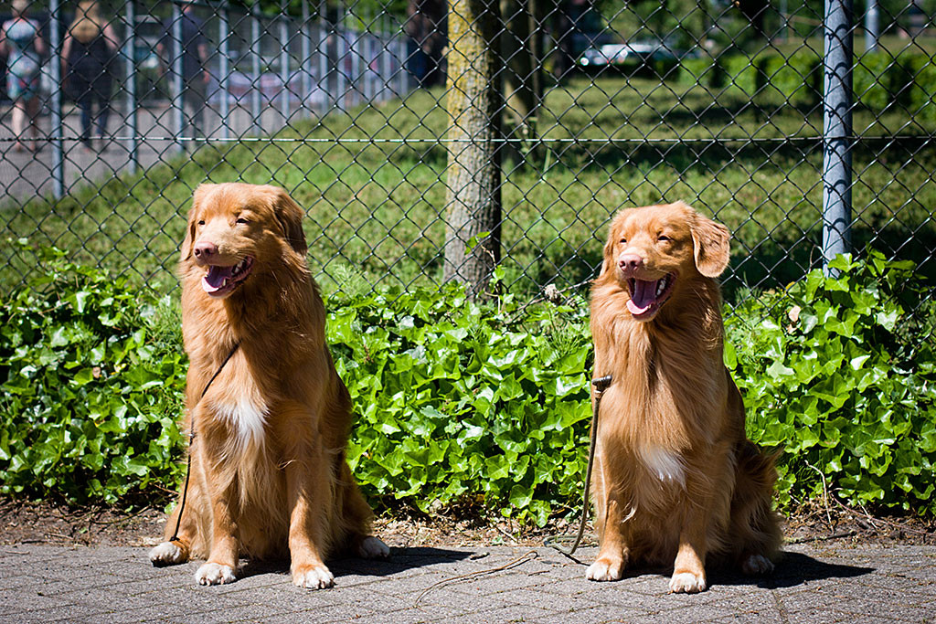 Edison sitzt neben seinem Vater Roy