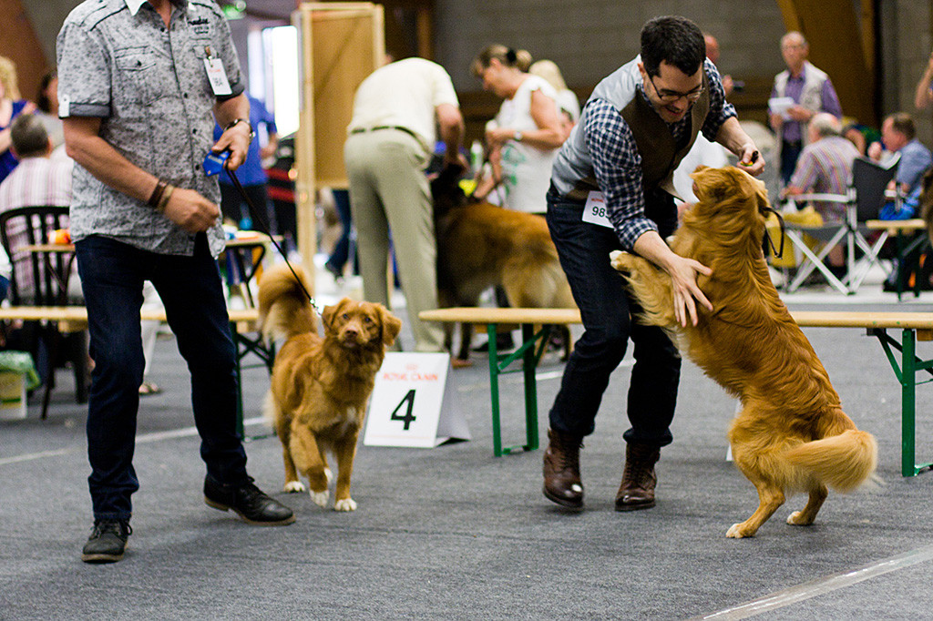 Edison springt Stephan an, beide freuen sich