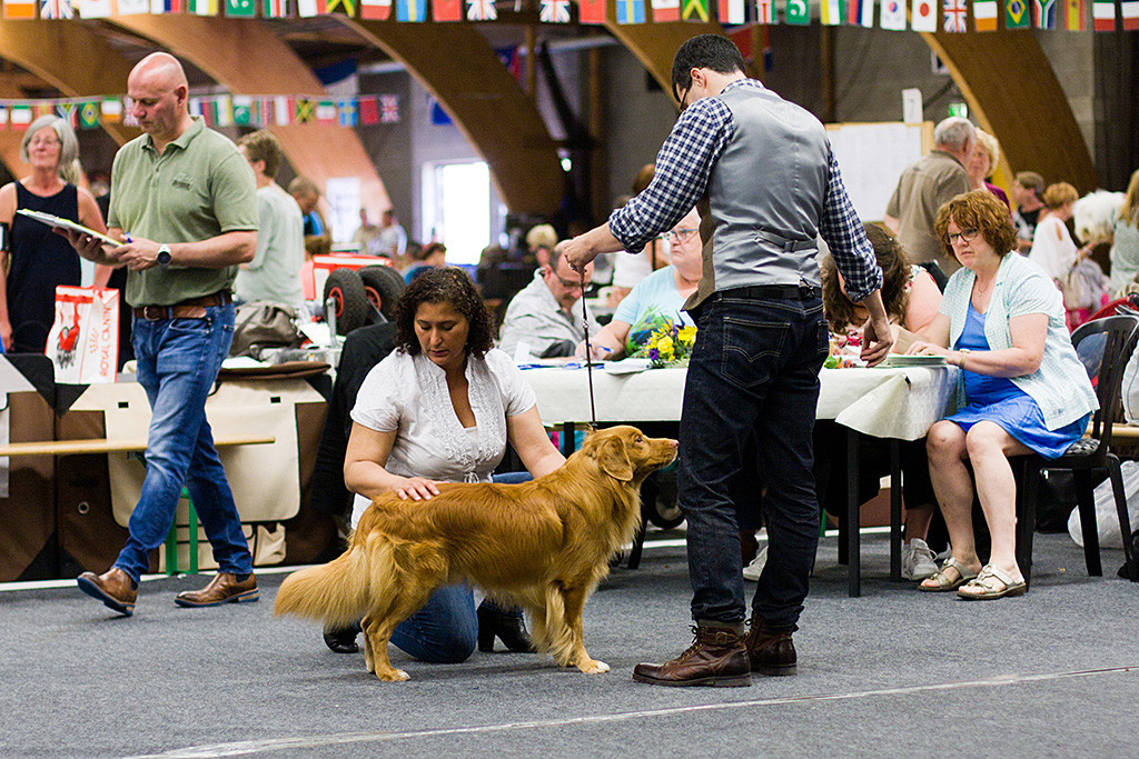 Edison wird von der Richteranwärterin abgetastet, die Richterin selbst schaut sich ihn vom Richtertisch an