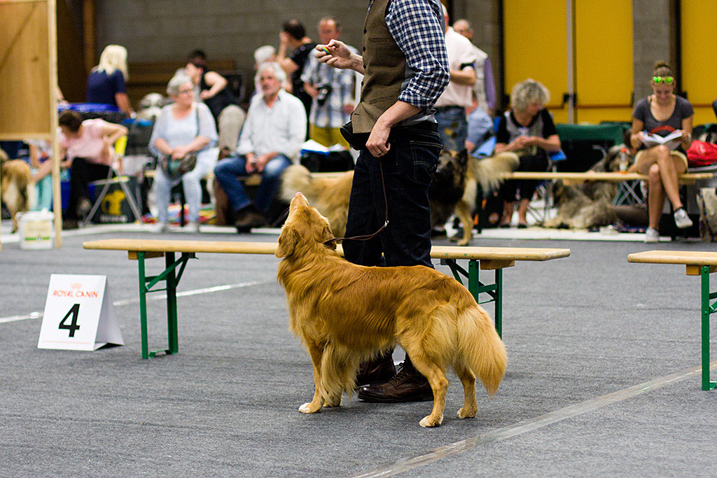 Edison steht neben Stephan und schaut zu ihm hoch