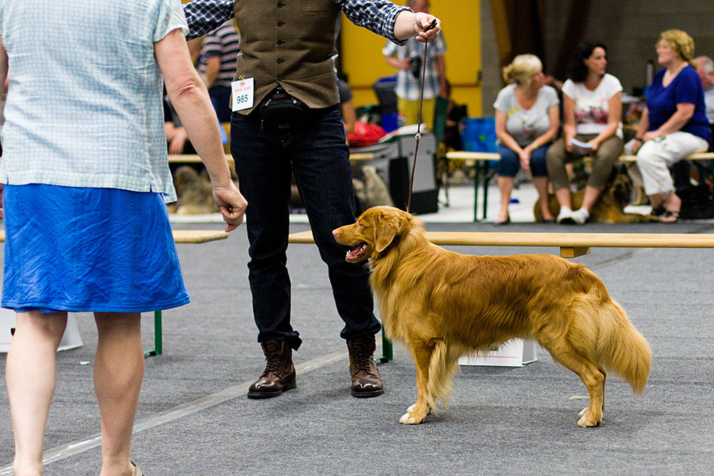 Edison wird von Stephan der Richterin präsentiert