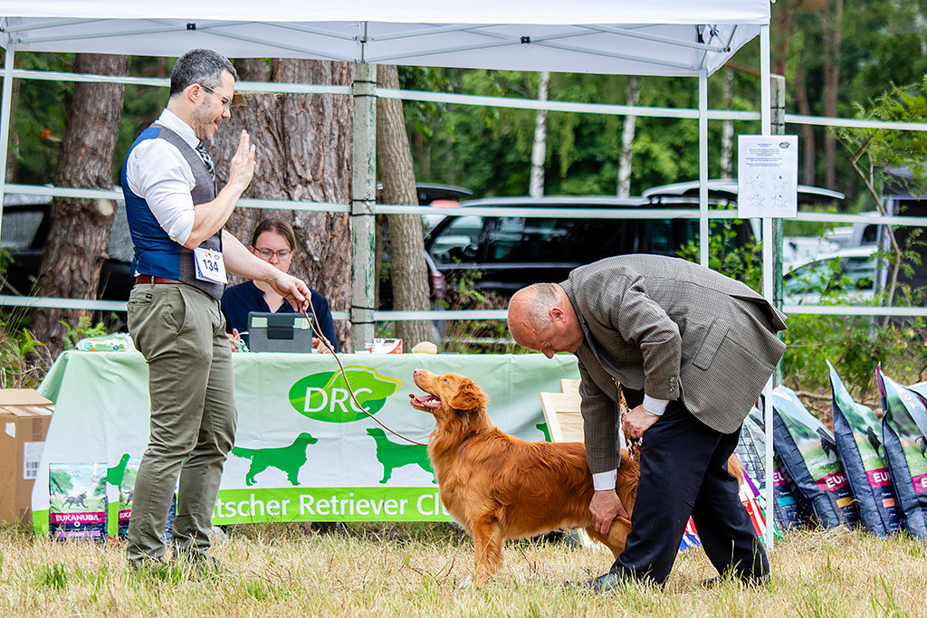 Newton schaut lächelnd hoch zu Stephan während der Richter einen der Hinterläufe abtastet
