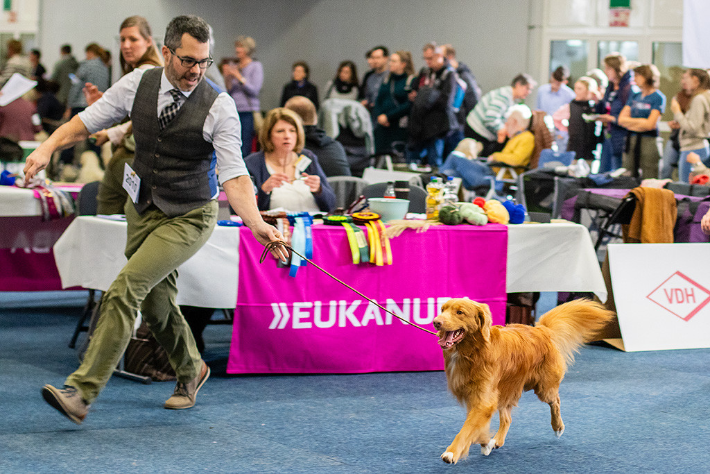 Newton läuft freudig an Stephans Seite im schönen Kreuzgang durch den Ring