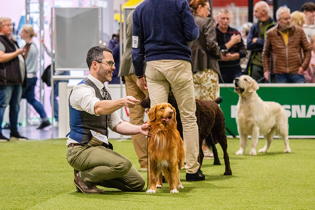 Newton frontal aufgenommen, seitlich dahinter Stephan knieend, steht aufgereiht mit dem Curly, Flat und Golden im Ehrenring