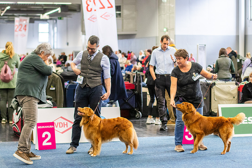 Edison steht neben Stephan und schaut hoch zur Richterin, die vor ihm steht und ihm ins Gesicht schaut, dahinter aufgereiht steht ein weiterer Toller