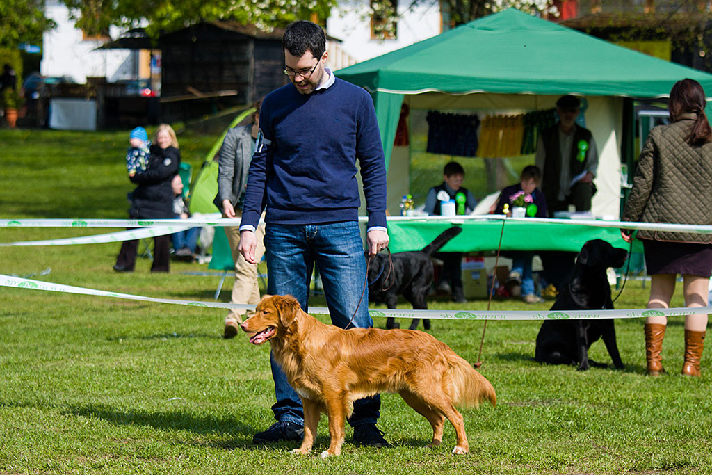 Edison steht wie eine Eins mit Blick zum Richter