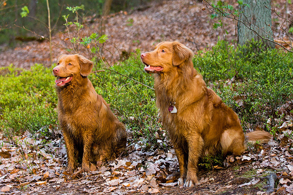 Edison und Etu sitzen nebeneinander und lächeln beide