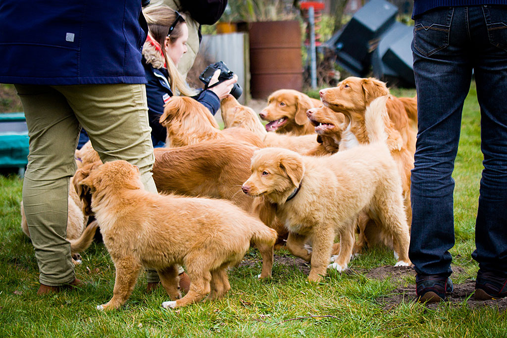 Edison, Gwenny und alle ihre Zöglinge versammeln sich um Kelly